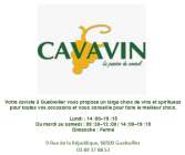 cavavin2.png