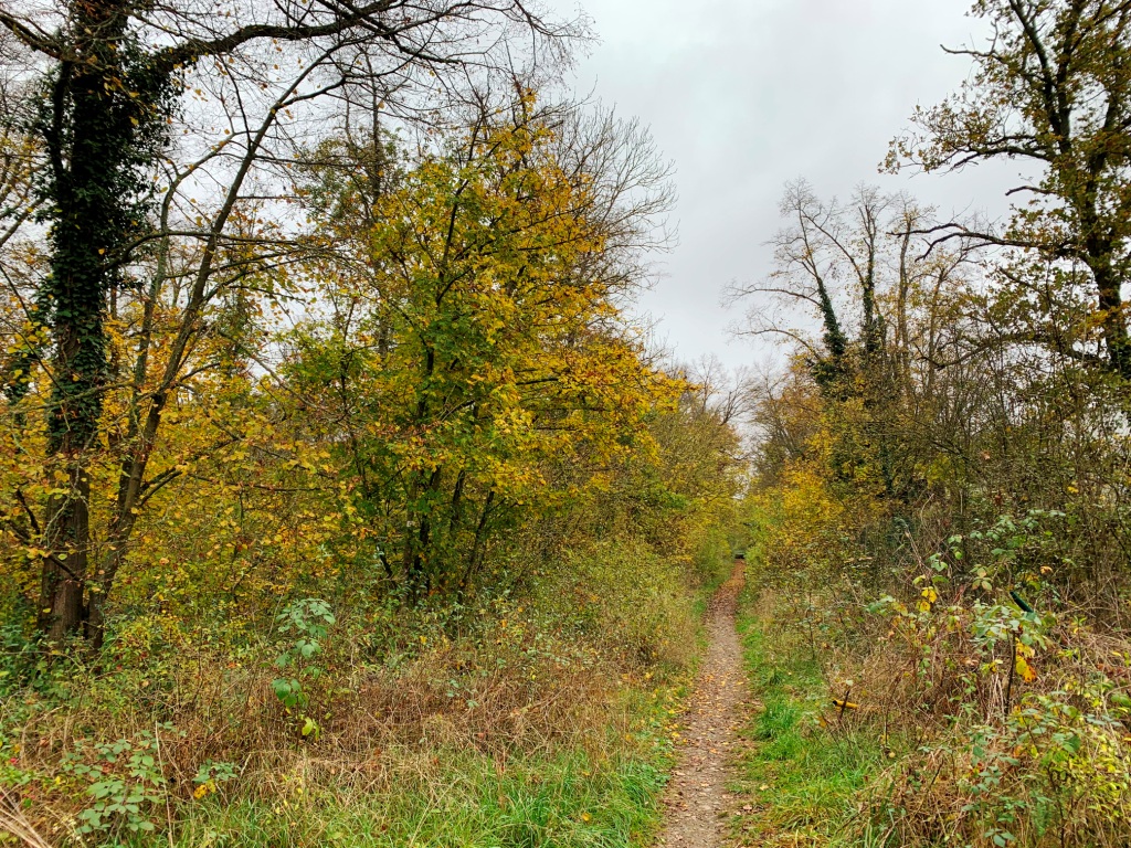 12/11 Sentier De La Potasse