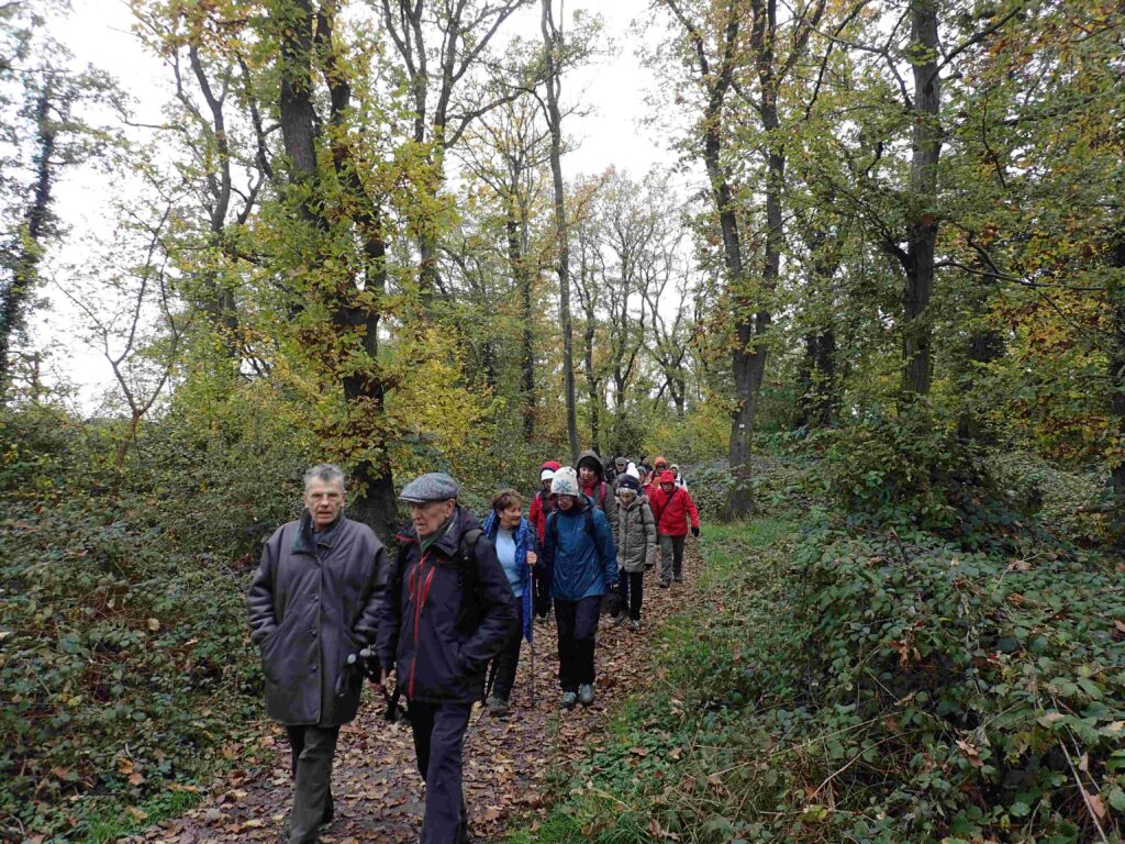 12/11 Sentier De La Potasse