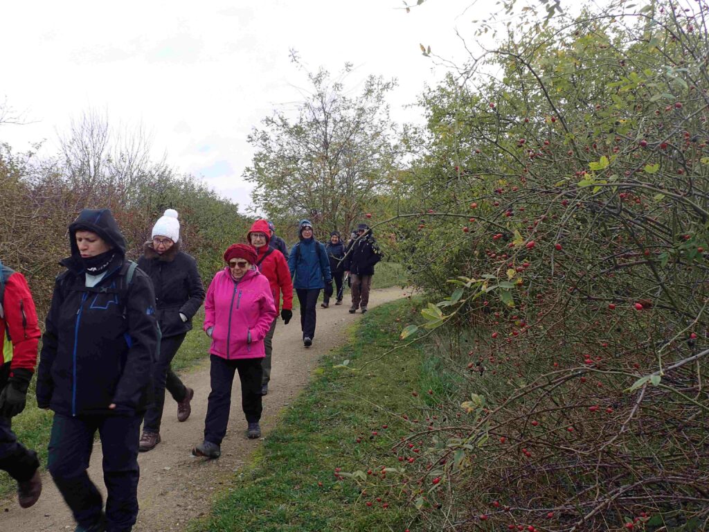 12/11 Sentier De La Potasse