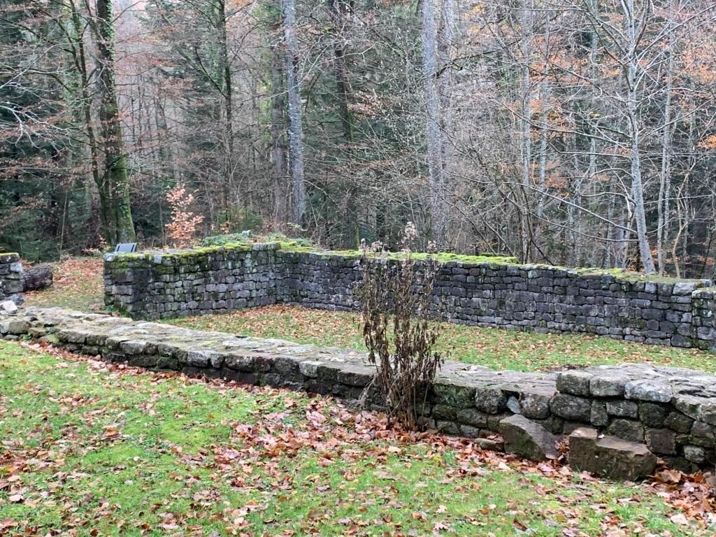 Wintzfelden 13 Ruines Schwartzenthann